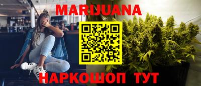 индика Гусев