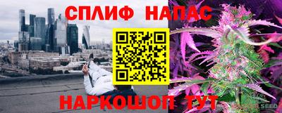 индика Гусев