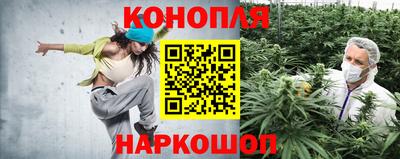 индика Гусев