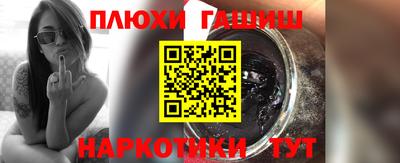 индика Гусев