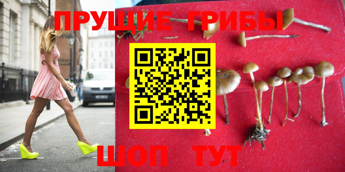 Галлюциногенные грибы Magic Shrooms  Галлюциногенные грибы ЛСД  Вход с VPN  Муром 