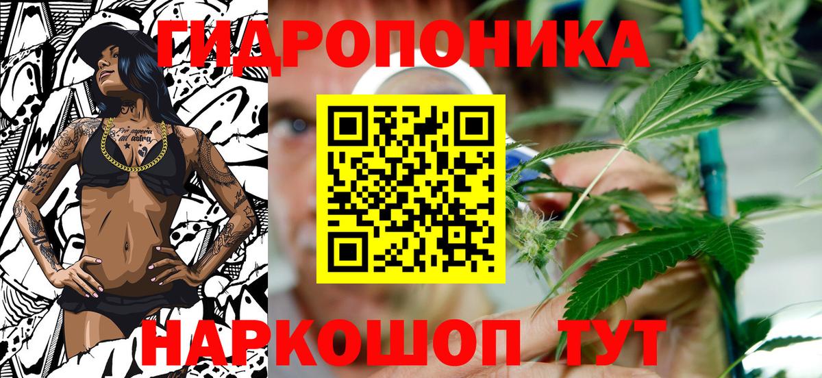 Бошки Шишки White Widow Муром